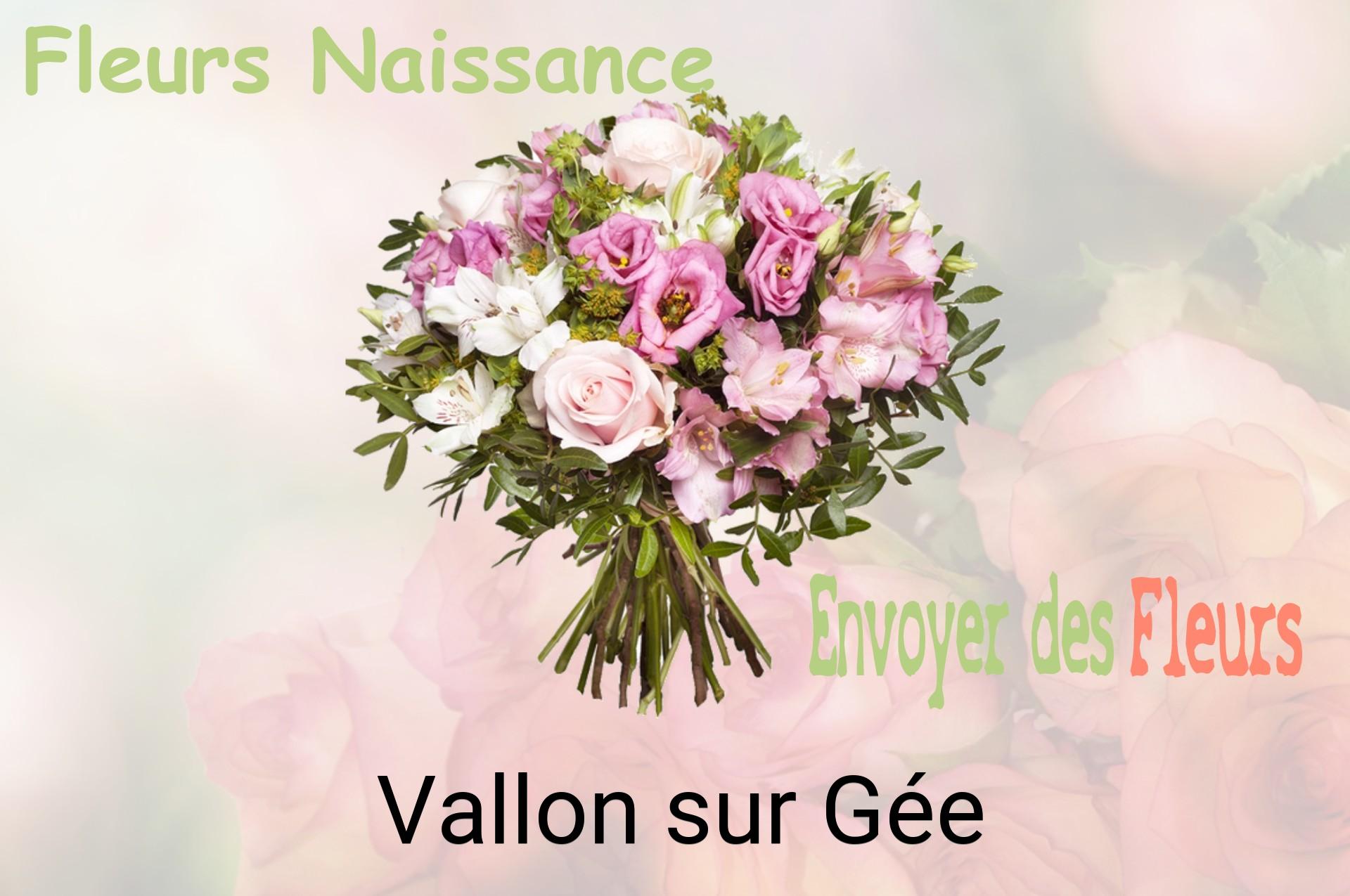 Bouquet de fleurs de naissance livré à Vallon-sur-Gée